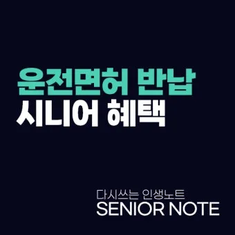 운전면허 반납 혜택 교통비 지원 대체교통 안전 이동법_24