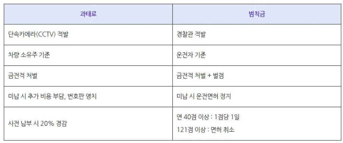 과태료 범칙금 차이 설명 표