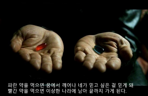 영화 매트릭스 중 빨간약과 파란약 선택장면