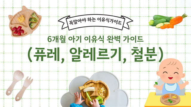 6개월 아기 이유식 완벽 가이드 (퓨레, 알레르기, 철분)