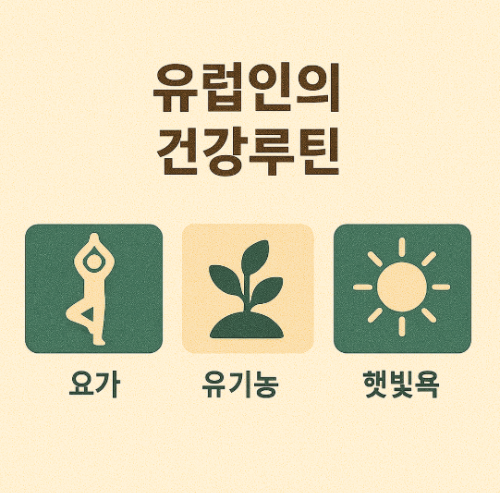 유럽인의 건강루틴 (요가, 유기농, 일광욕)
