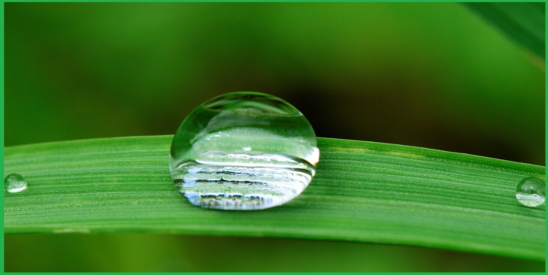 겨울-가습기-사용-팁