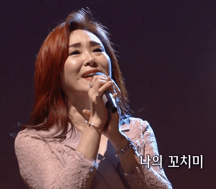 주현미 꼬치미