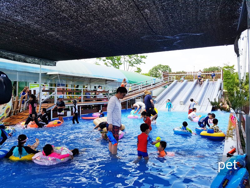 경기-연천-나린오토캠핑장-예약-방법-애견-동반-가격-주소-시간-후기