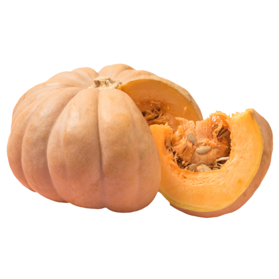 용종과 관련된 사진입니다.