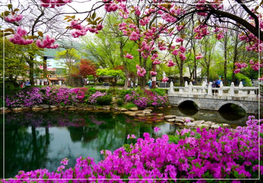 태백 가볼만한곳 베스트10 황지연못