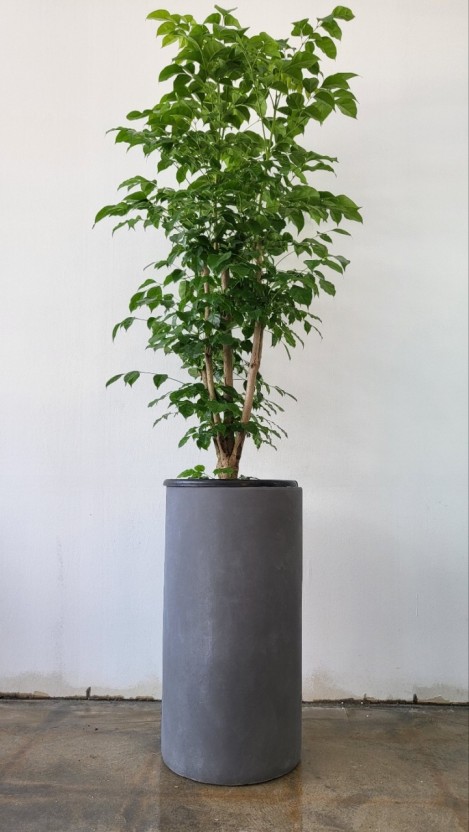 개업 축하 문구