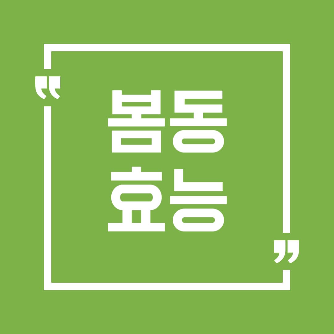 봄동 효능 총정리! 면역력부터 다이어트까지 자연의 슈퍼푸드