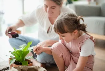 아이 있는 집 식물선택 가시없는종류 배치높이 관리 요령_29
