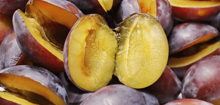 8월 제철 음식 사진 - 15