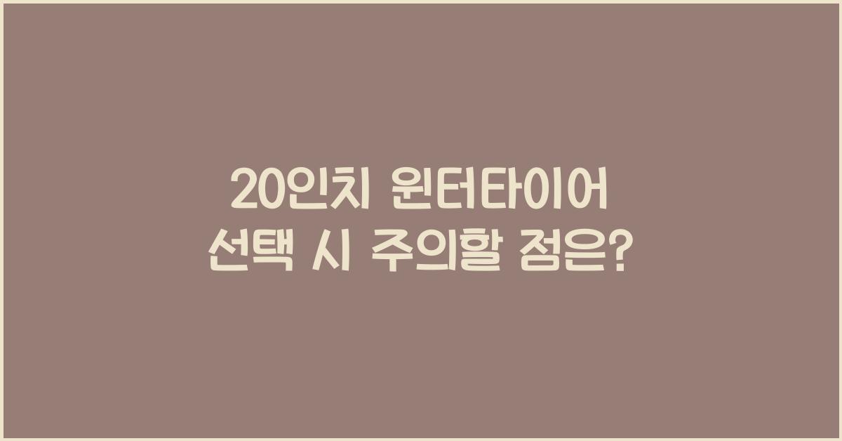 20인치 윈터타이어