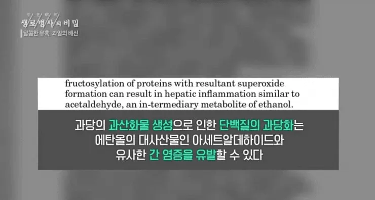달콤한 유혹, 의외로 건강에 안 좋은 과일 - 과일의 배신 달콤한 유혹, 의외로 건강에 안 좋은 과일 - 과일의 배신