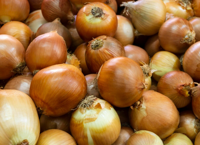 비염 완화 꽃가루 송화가루 봄 환절기 가을 알러지 알레르기 면역 호흡기 콧물 재채기 퀘르세틴 브로멜라인 quercetin bromelain