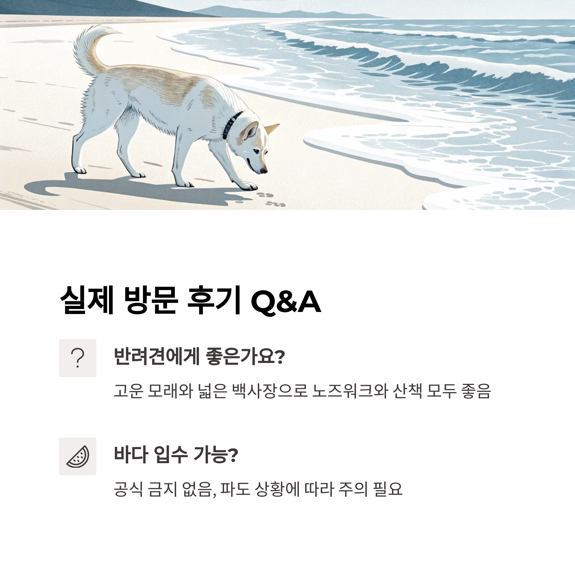 양양 동호해수욕장, 반려견