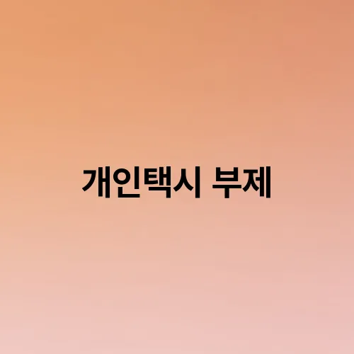 개인택시 부제