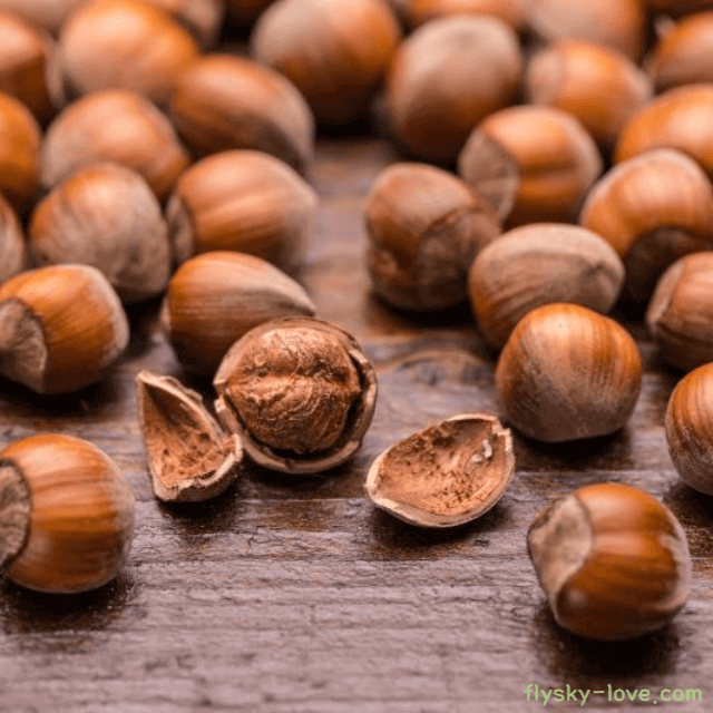 개암 고르는 법