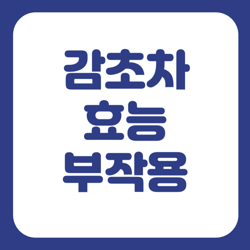 감초차 효능