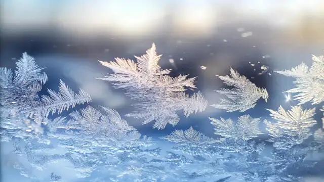 겨울여행-발왕산얼음