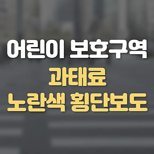 어린이-보호구역-과속-과태료-노란색-횡단보도