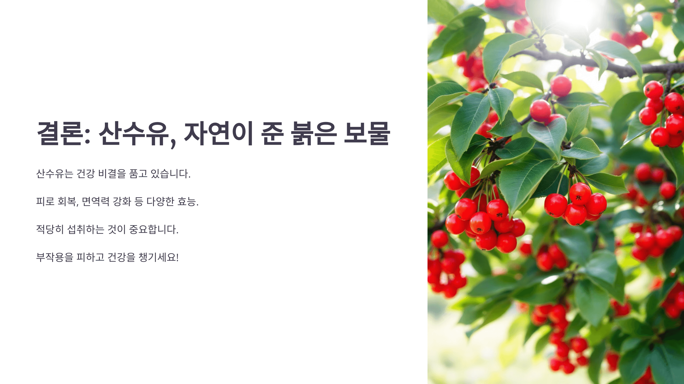 산수유 효능과 관련된 사진입니다.