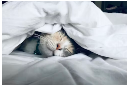 손가락 저림 원인찾기1