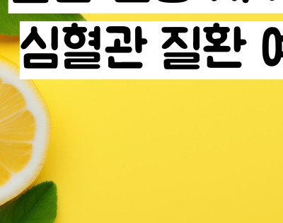 레몬즙 효능