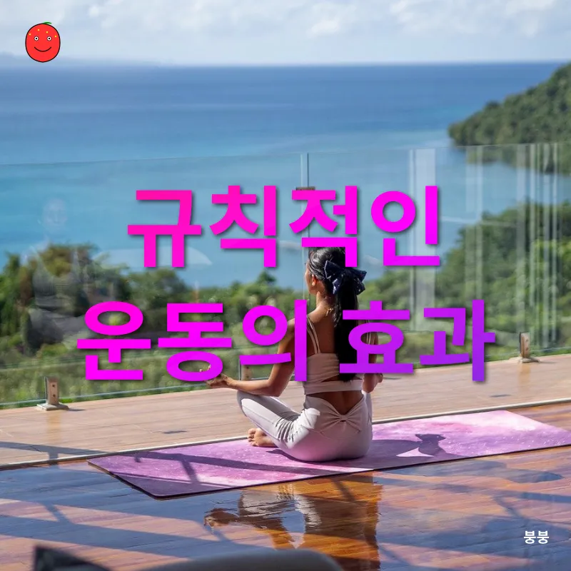 건강한 생활 습관_2