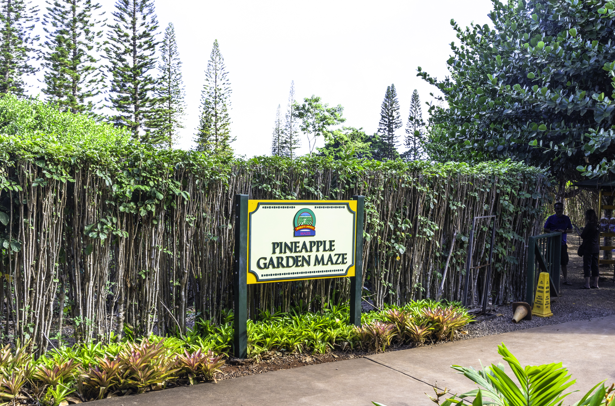 돌 플랜테이션 미로정원