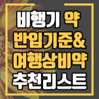 비행기내 약 반입관련 정보 및 여행상비약 추천 정보글 썸네일