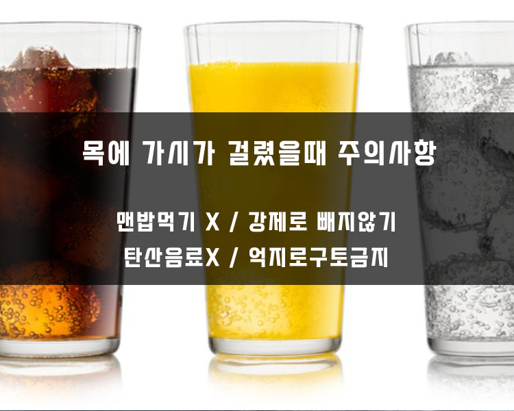 목에 가시가 걸렸을때 주의 사항 - 맨밥먹기금지,강제로빼지않기,탄산음료마시지않기, 억지로 구토금지