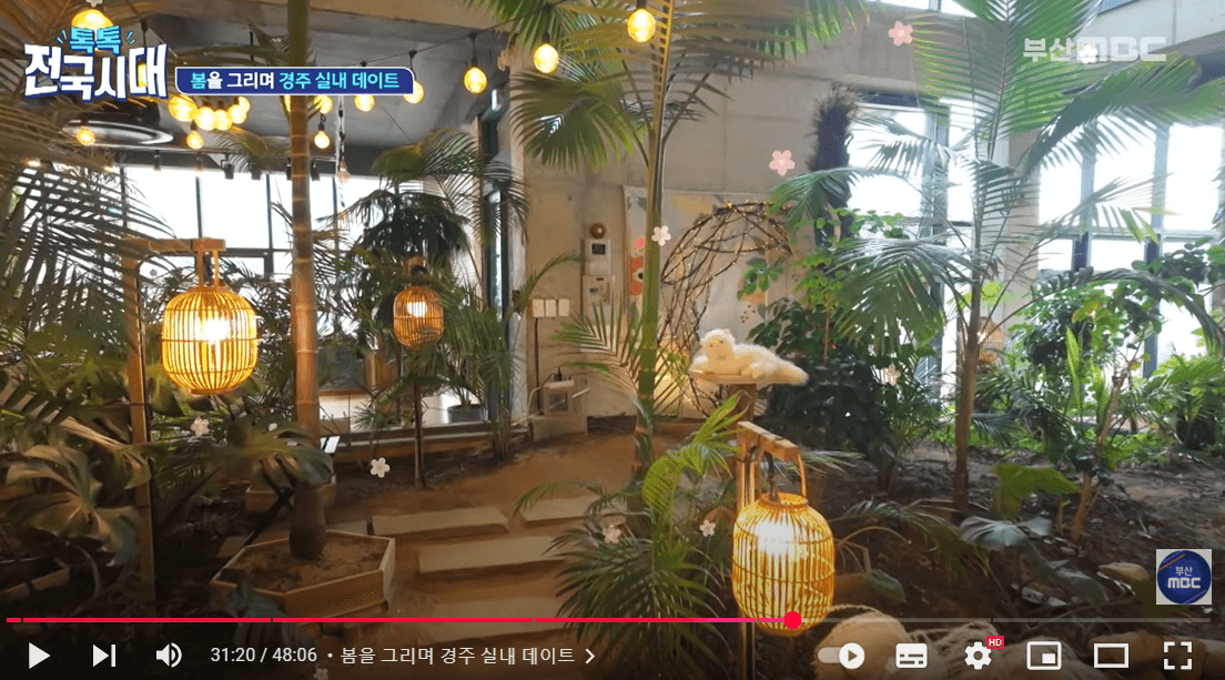 톡톡 전국시대 경주 식물원 카페