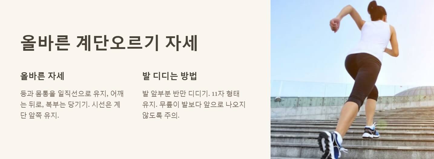 계단오르기 운동효과