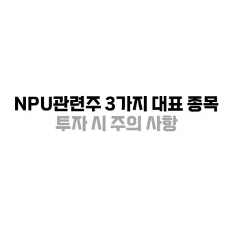 NPU 대장주 관련주 TOP5 총정리_21