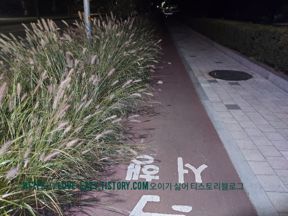 수원 자전거 코스