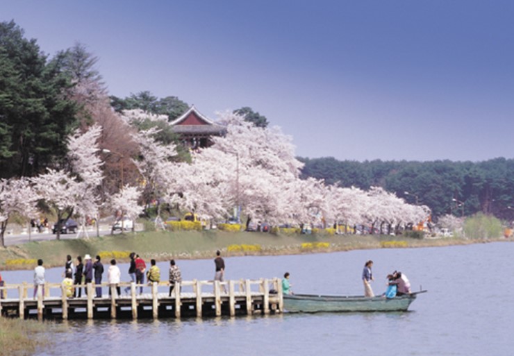 3월 벚꽃 축제
