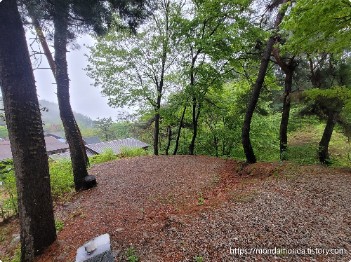 흥부골자연휴양림 A1 야영장