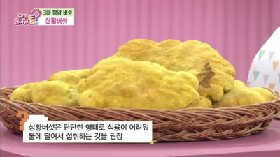 상황버섯 먹는방법