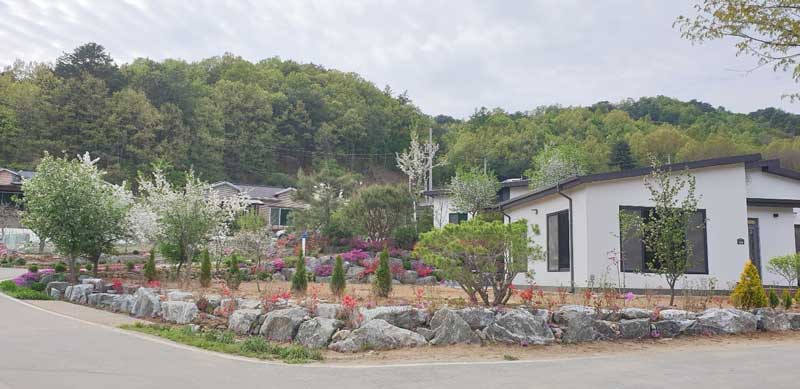 강원도 횡성 전원주택 동네 전경