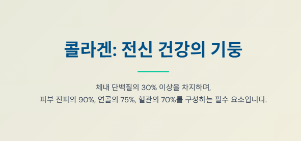 콜라겐 전신영양제
