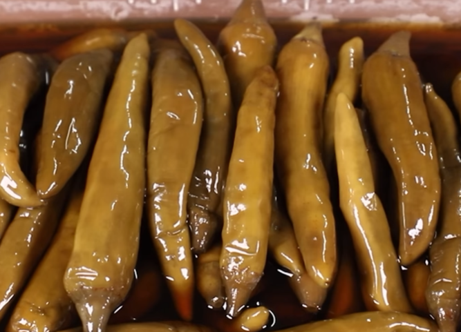 고추장아찌 만드는법