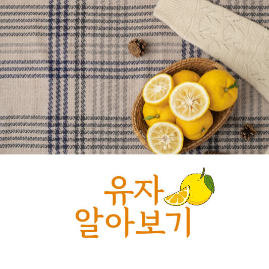 유자