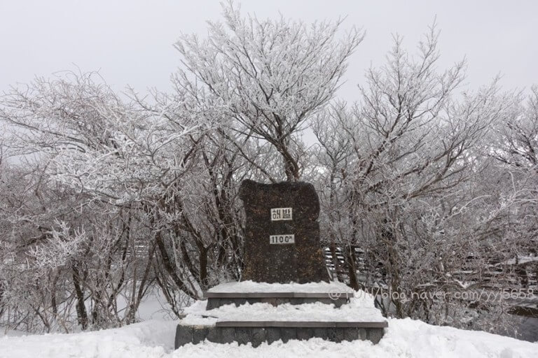 제주 1100고지 겨울풍경