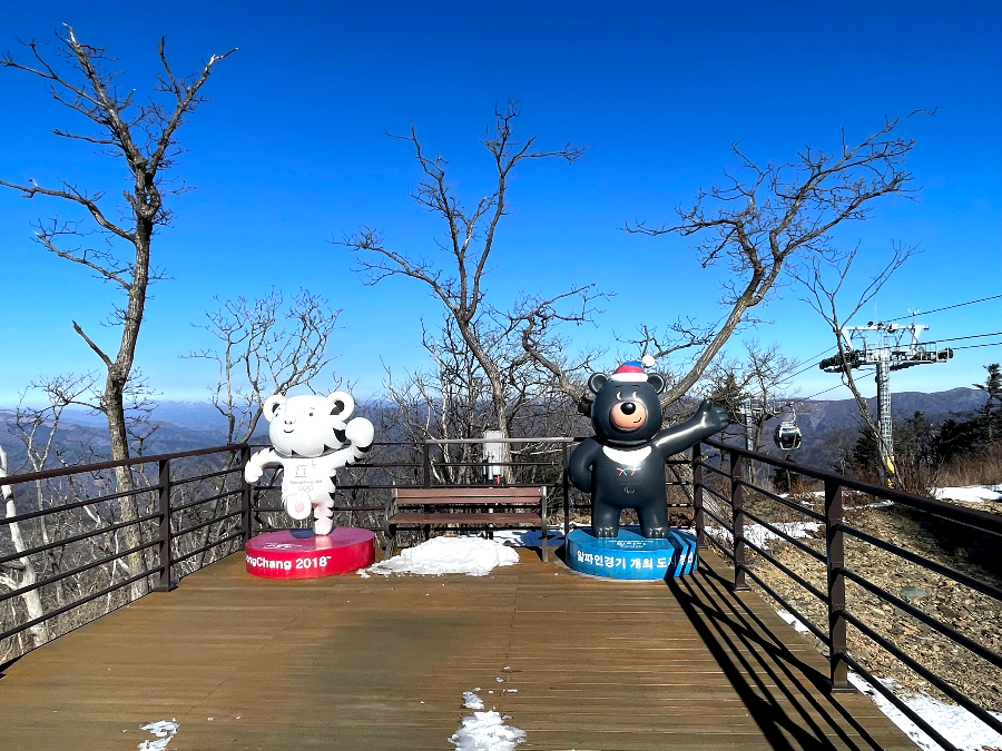 가리왕산 케이블카 체험여행안내 : 가리왕산 전망대 데크탑방