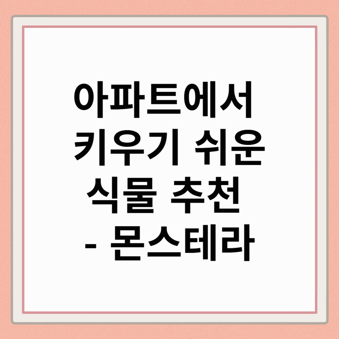 아파트에서 키우기 쉬운 식물 추천 : 몬스테라
