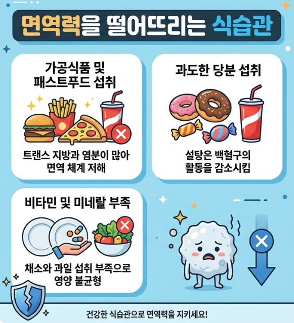 면역력 식단 루틴 만들기와 건강한 식습관을 설명하는 음식