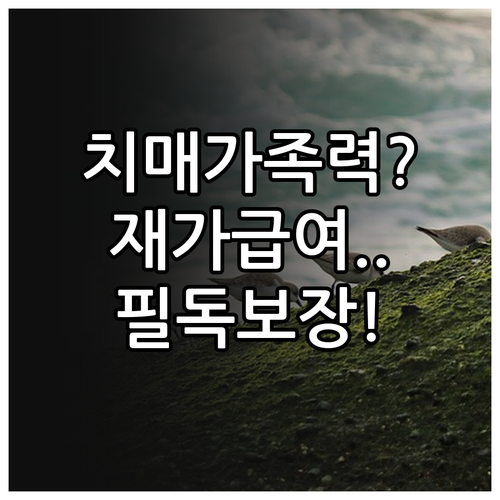 치매간병보험 재가급여와 진단비 구성으..