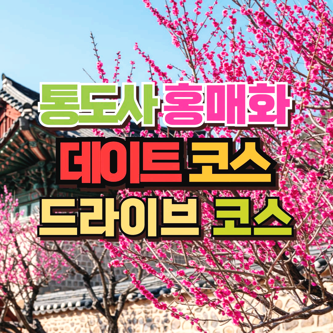 통도사 꽃놀이 썸네일