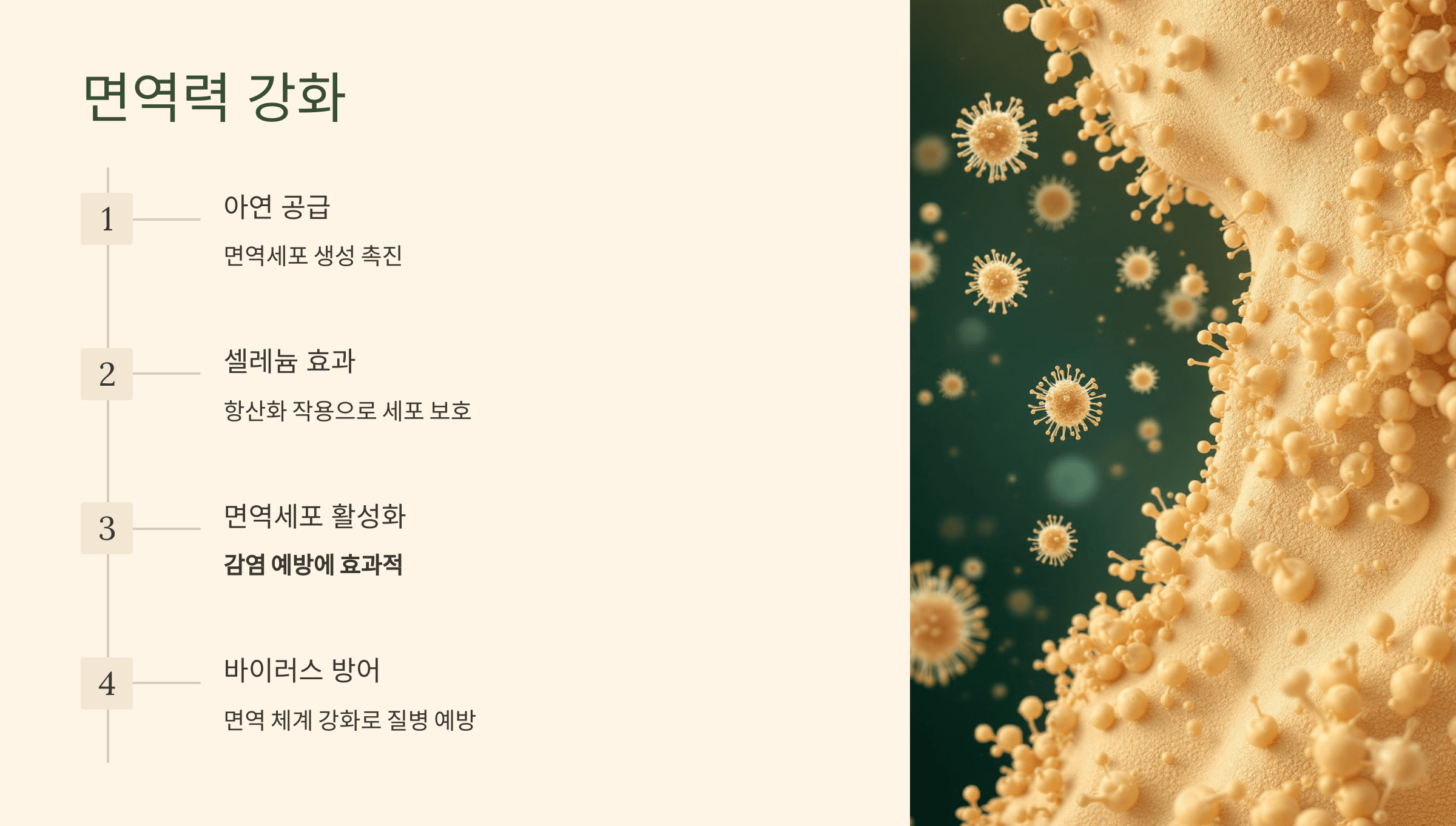 카무트 쌀 사진입니다.