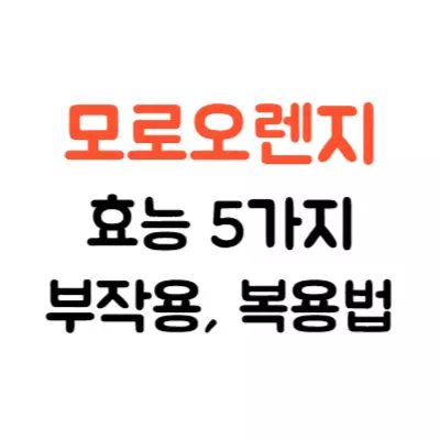 모로오렌지 효능 5가지, 부작용, 복용법