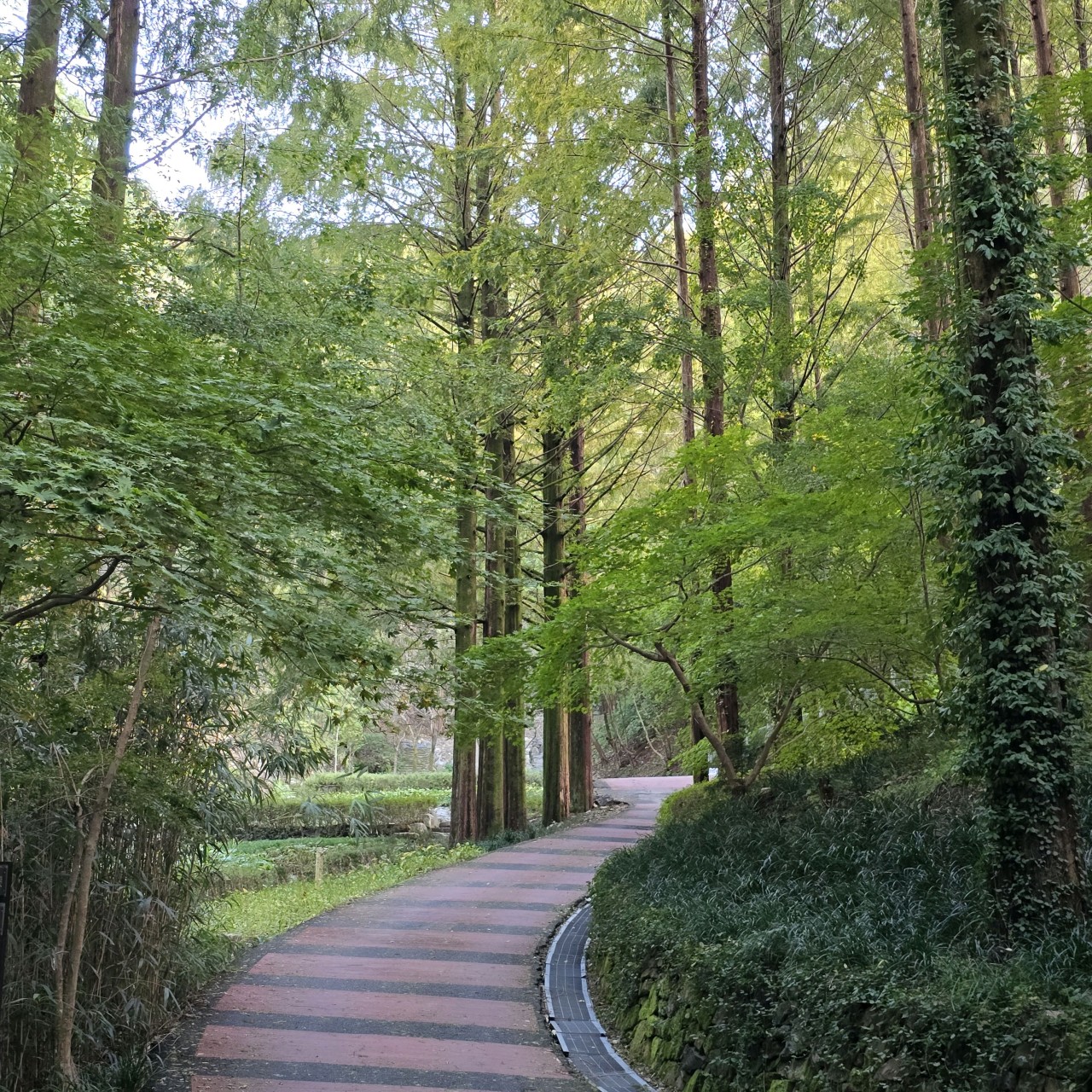 장태산 자연휴양림 예약_87